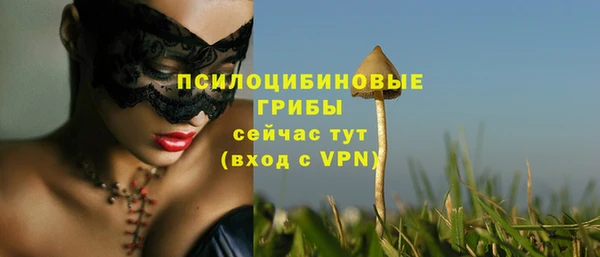 МДМА Краснослободск