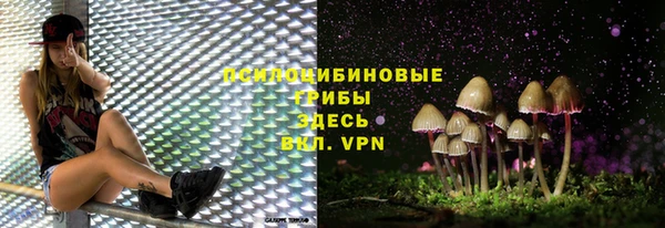 ECSTASY Красноперекопск