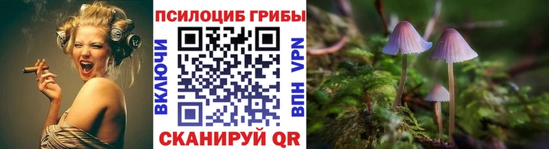 купить цена Мглин Псилоцибиновые грибы MAGIC MUSHROOMS